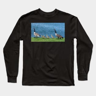 Canada Geese and Gosling Family Long Sleeve T-Shirt